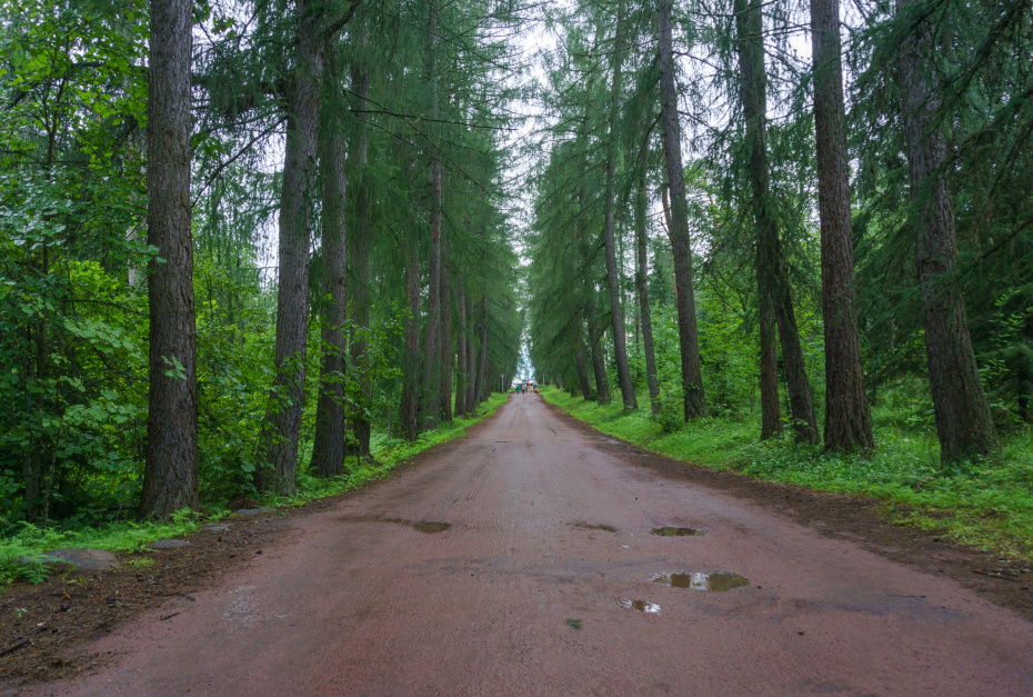    Sergey Smirnov/Global Look Press