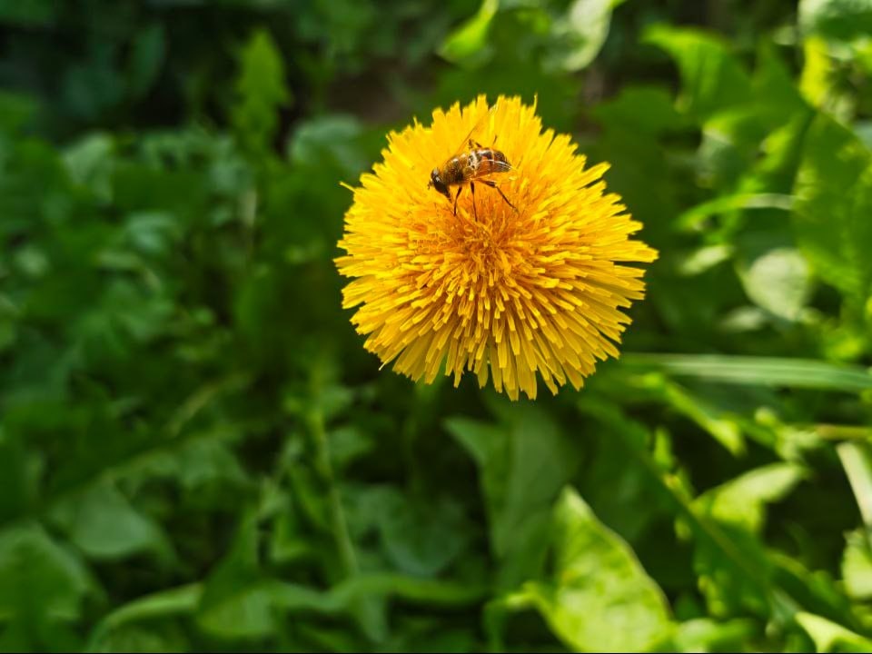    Фото: REGIONS/Ольга Никитина