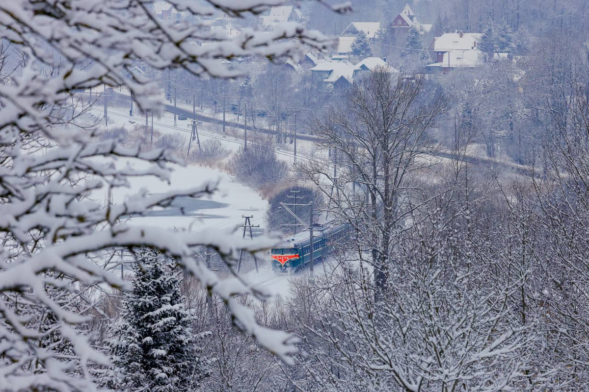 Фото: СЗППК