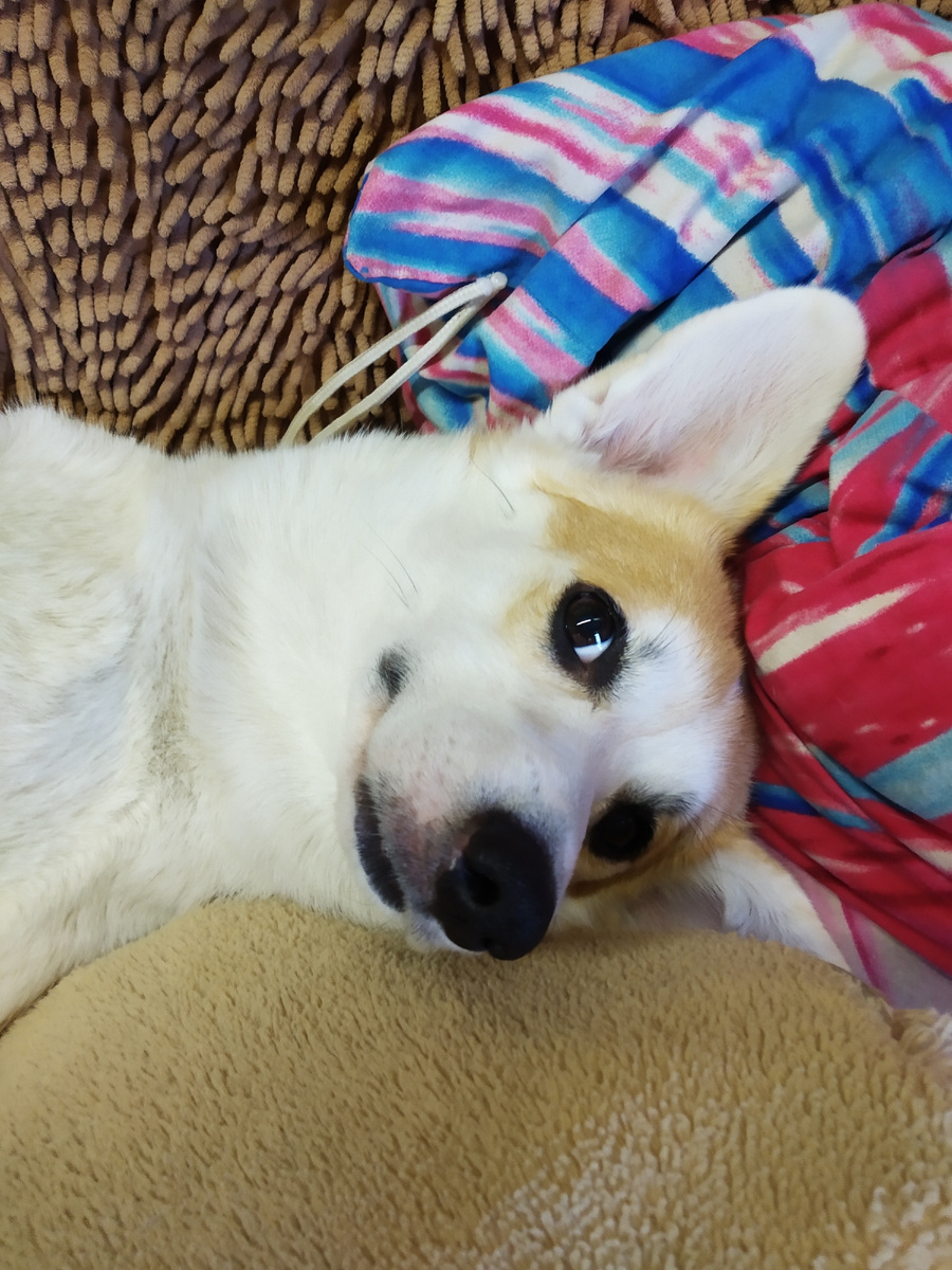 Фото из личного альбома.