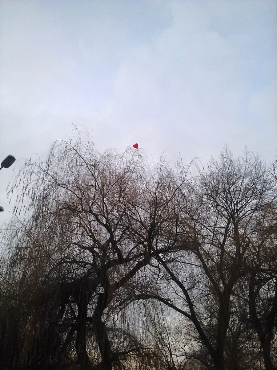 Знаки в небе бывают и такими