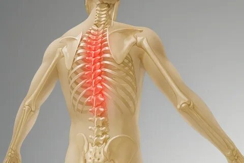 5 безопасных упражнений для позвоночника, которые нужны всем после 45