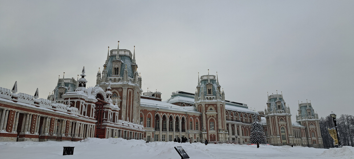 Главный дворец. Смотрится особенно выразительно среди заснеженной бескрайности 