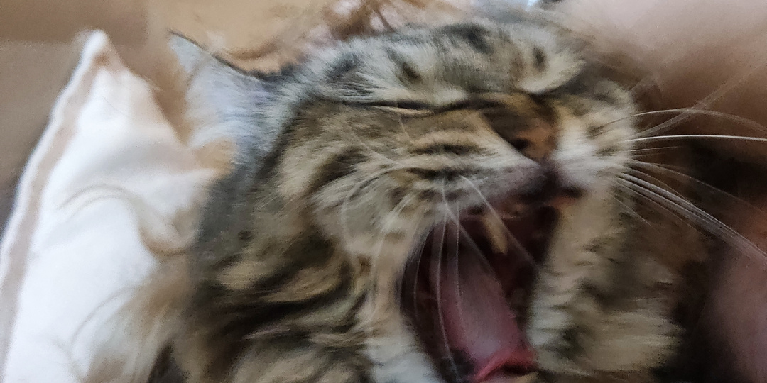 Задымление готово