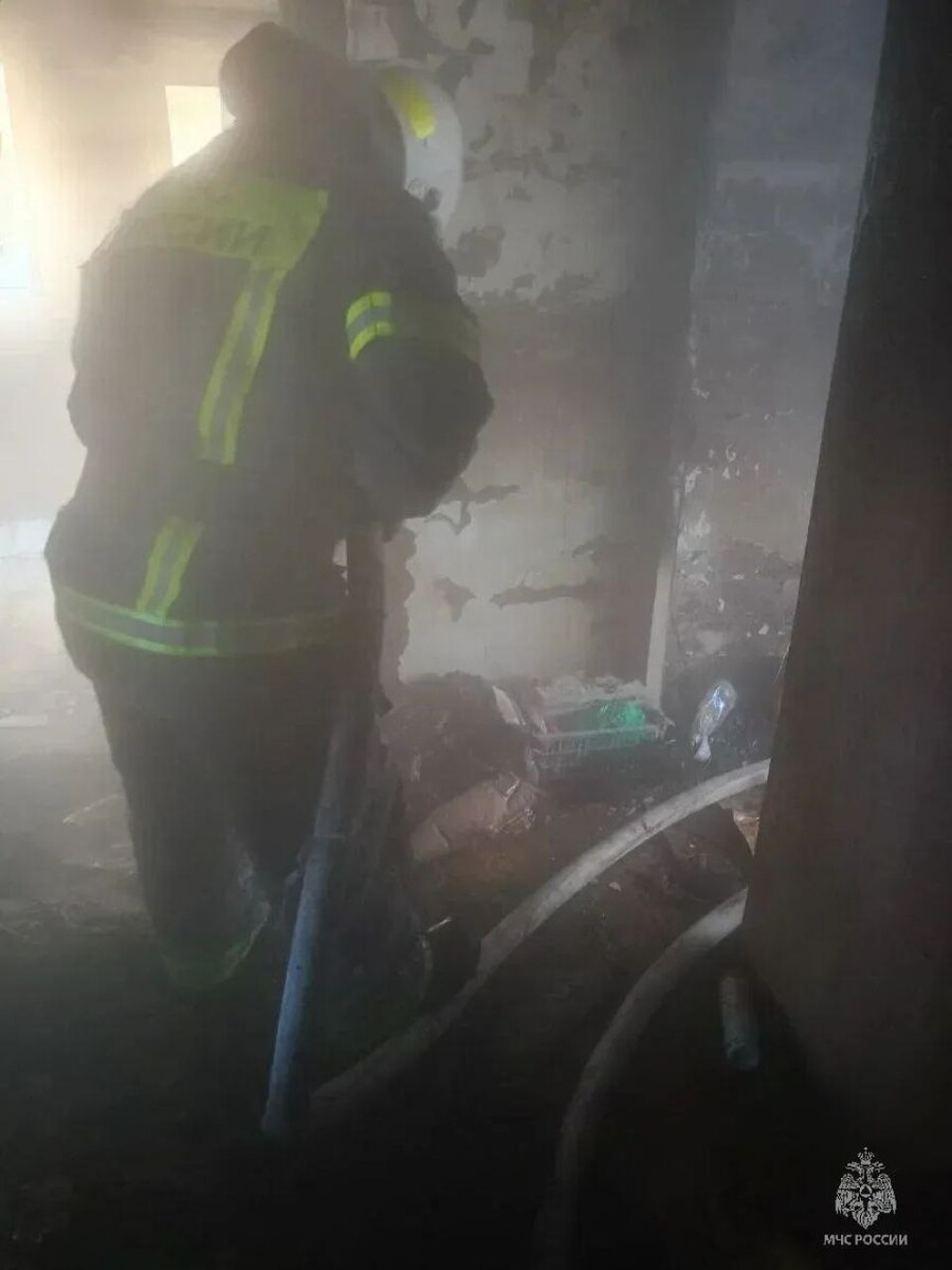    Пожар в селе Первомайском. Источник: ГУ МЧС России по Алтайскому краю