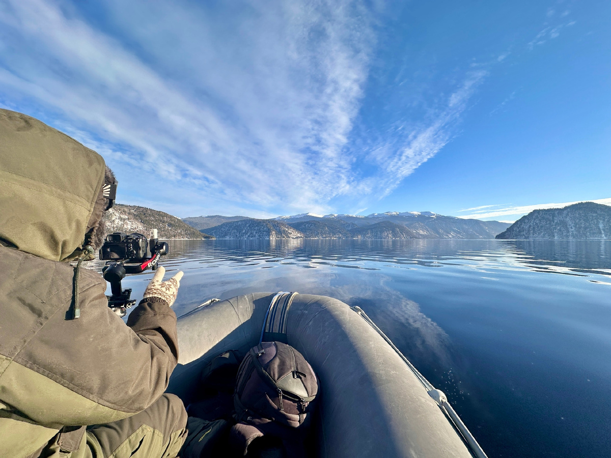 Авторы фото: Роман и Татьяна Воробьёвы / Алтайский заповедник.