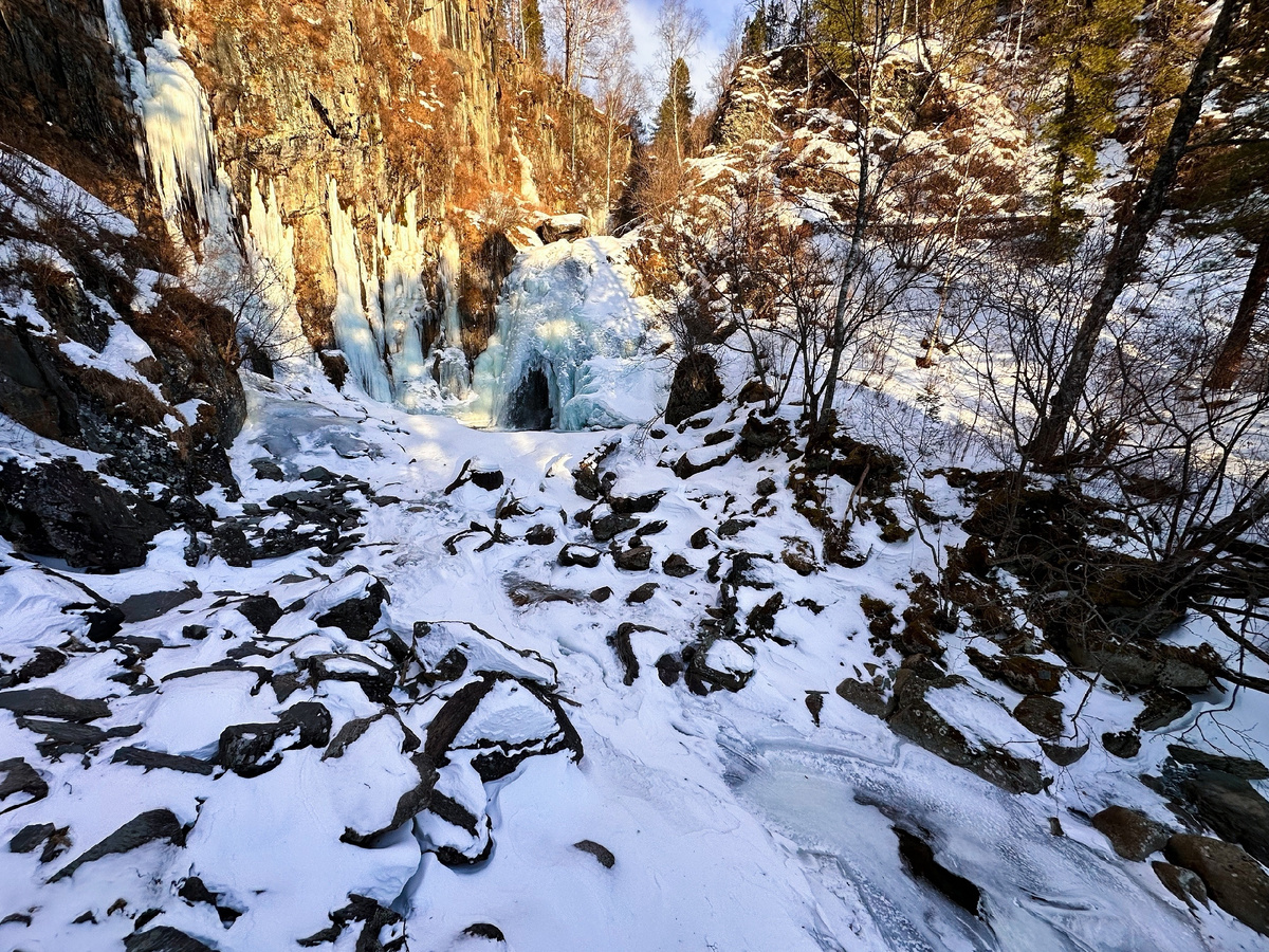 Авторы фото: Роман и Татьяна Воробьёвы / Алтайский заповедник.