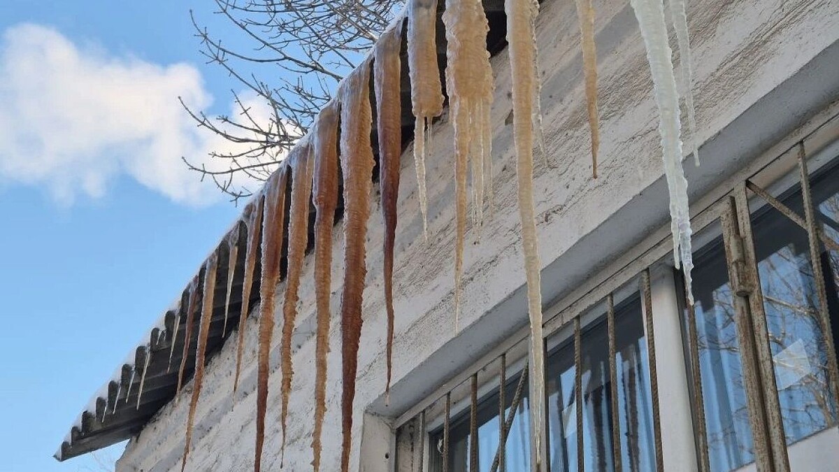    Фото: телеканал «Краснодар»