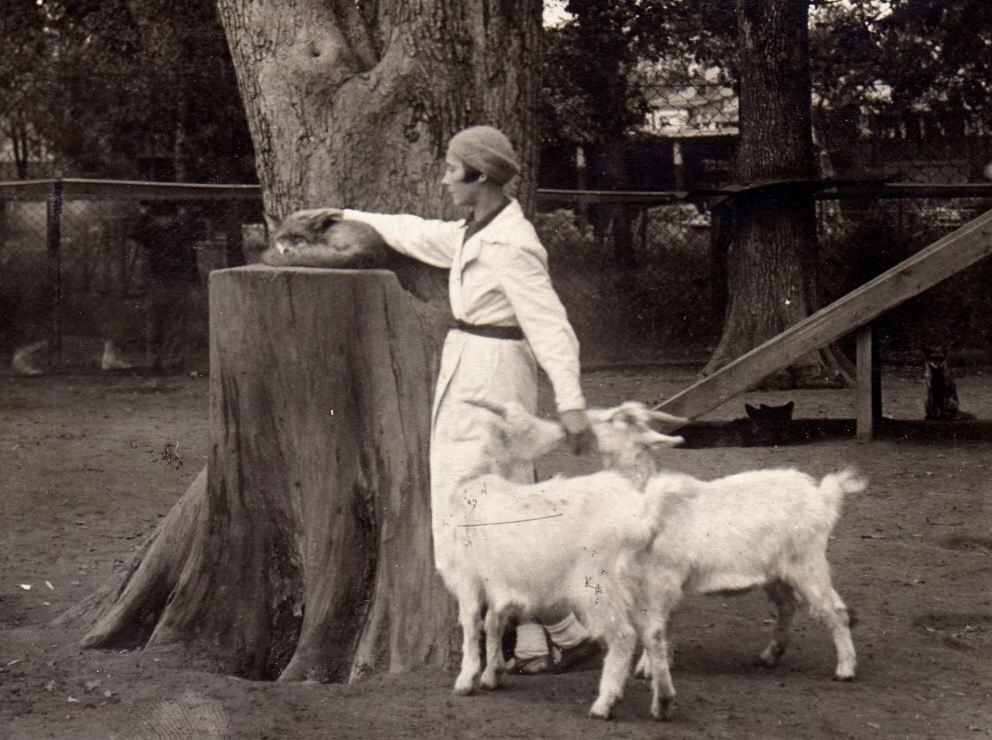 Создательница «детского сада» для зверей. Вера Чаплина на площадке молодняка Московского зоопарка — своим главным новаторством в работе с животными