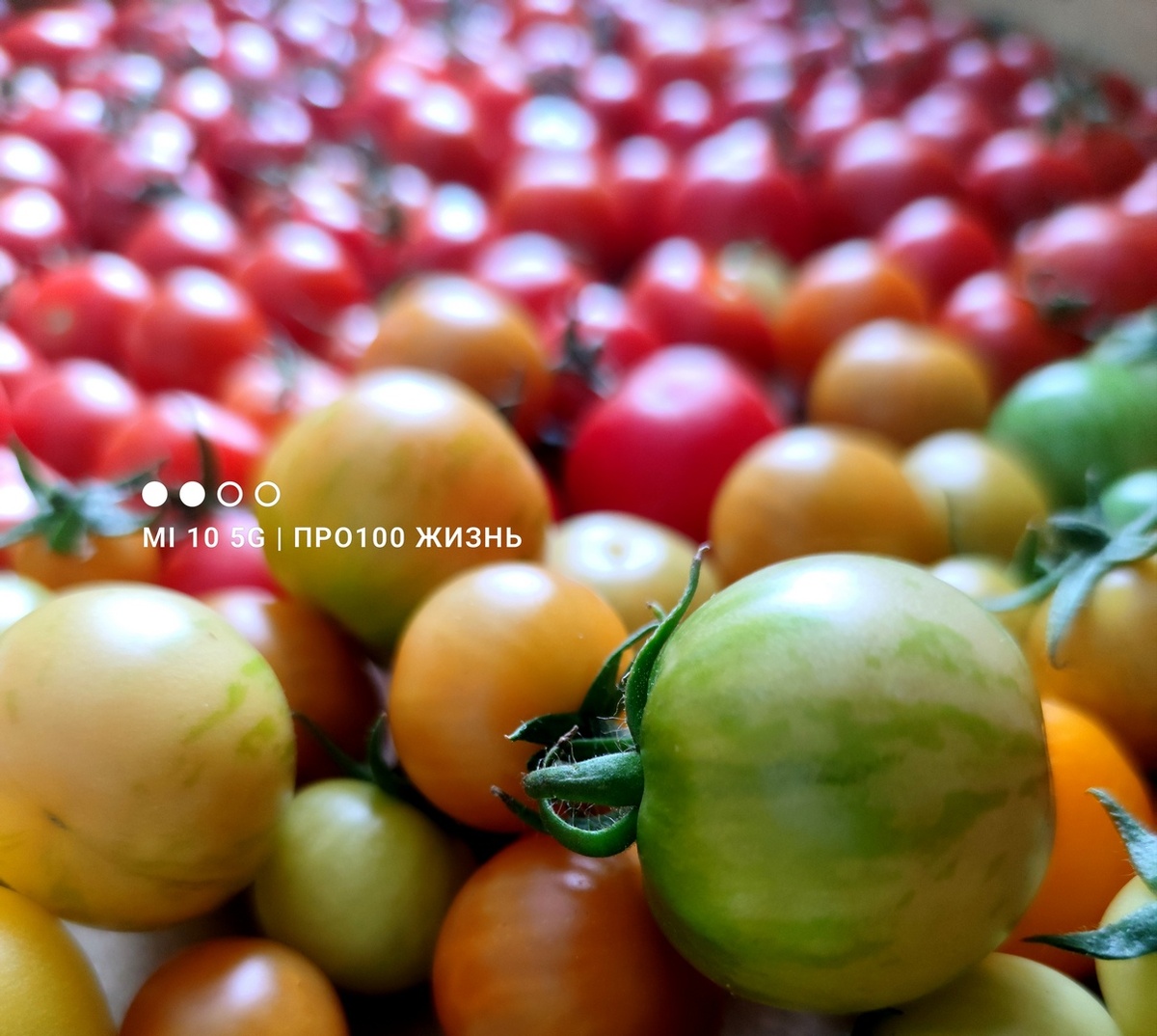 серия фото автора