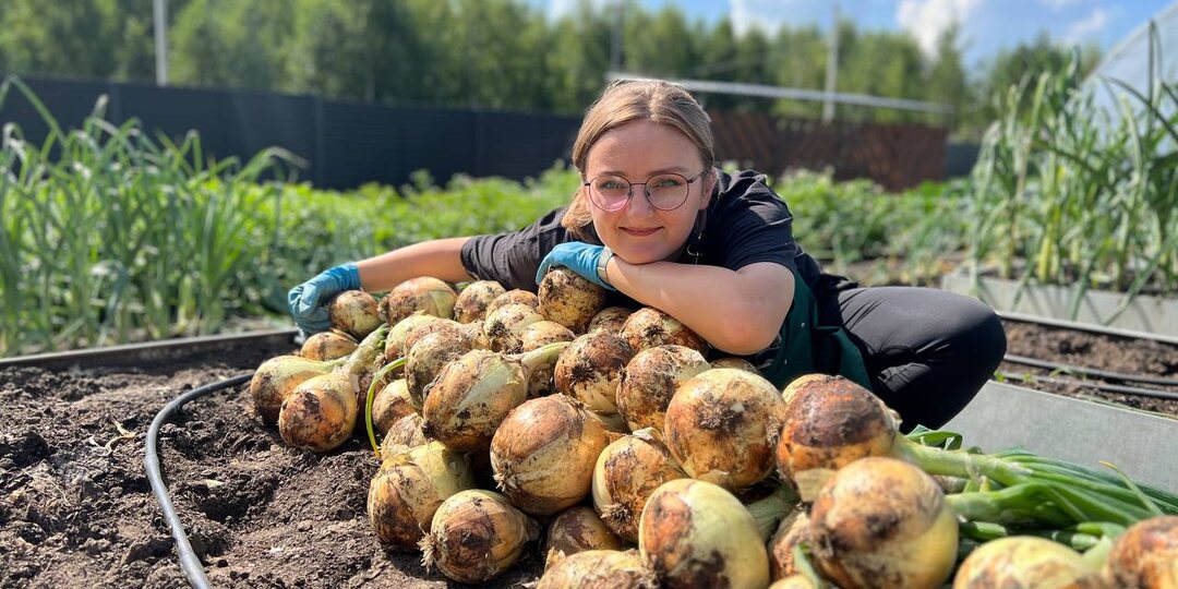 РАСКРЫВАЕМ СОРТА ЛУКА, из которых вырастет ГОЛОВКА за СЕЗОН, БЕЗ СЕВКА!