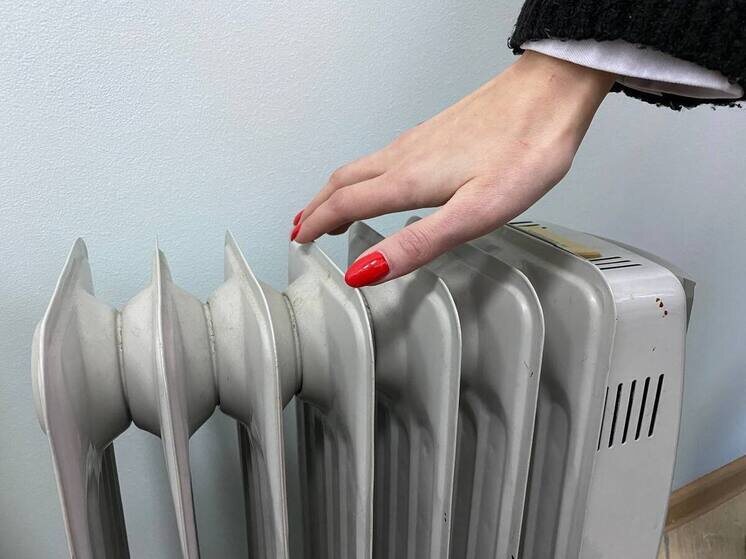     Фото: МК на Алтае/Анастасия Чебакова