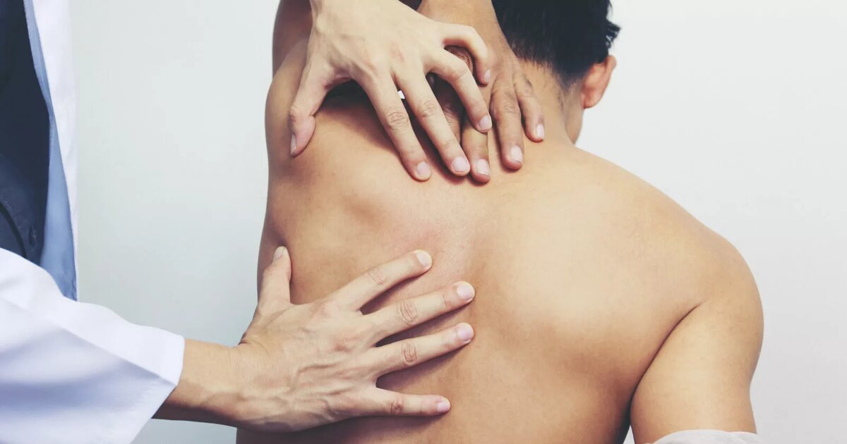 Изображение взято из открытого источника