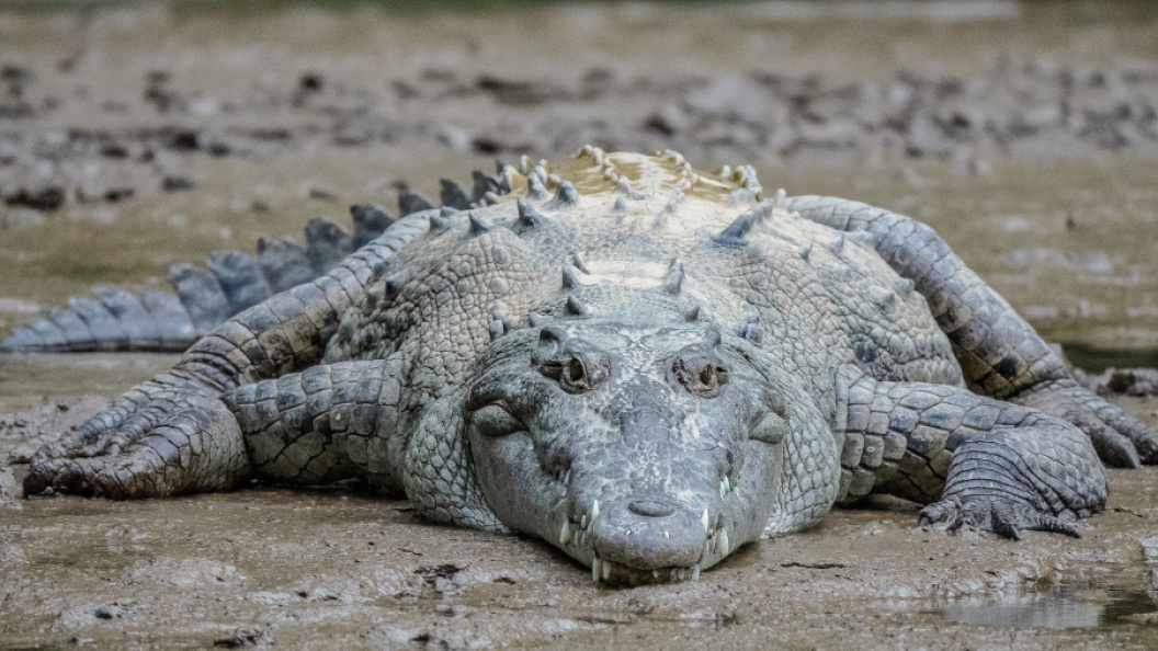    Фото: wirestock/Freepik