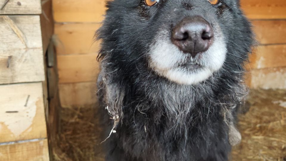 День Добра. Добро творим мы сами.