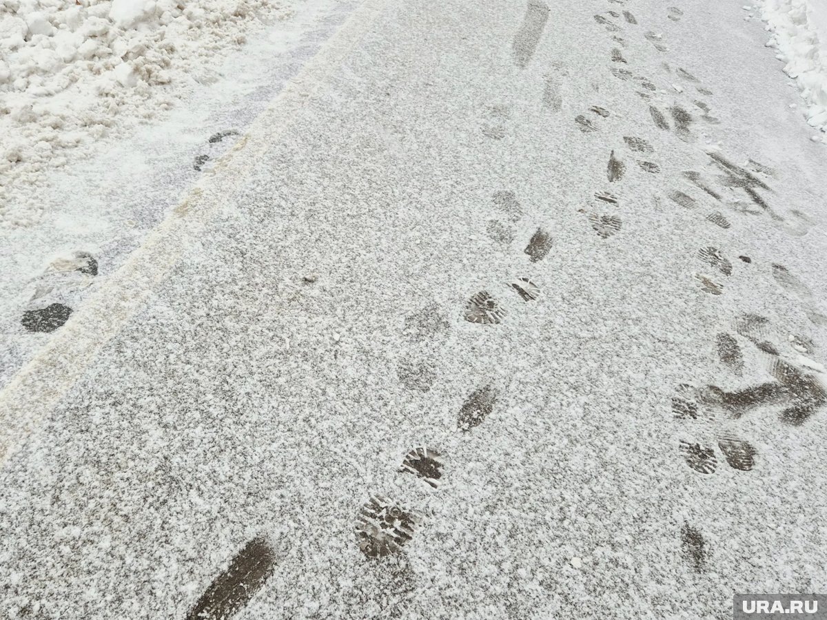     Россиянам рассказали, когда можно не выходить на работу зимой