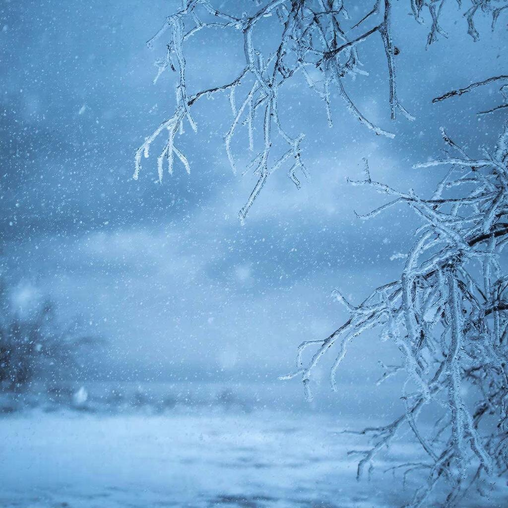    Картинка сгенерирована ИИ Elena Maltseva