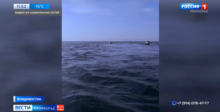    Источник фото: