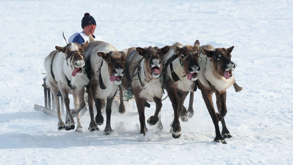    Фото: Андрей Ткачев/«Ямал-Медиа»
