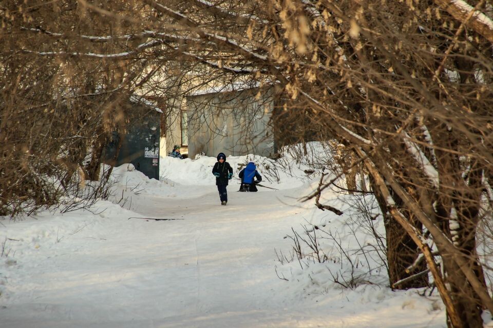    Барнаул. Зима. Источник: Виталий Барабаш / СИ «Толк»
