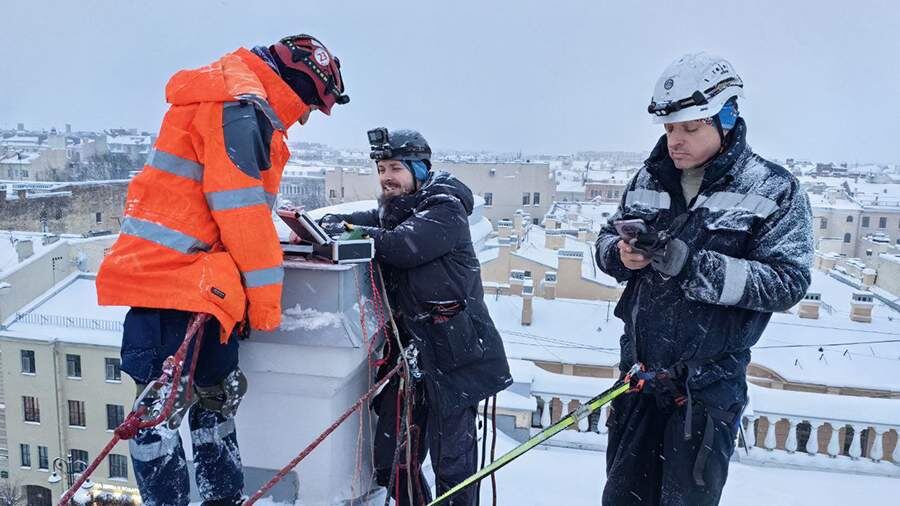    Фото: t.me/animalspas