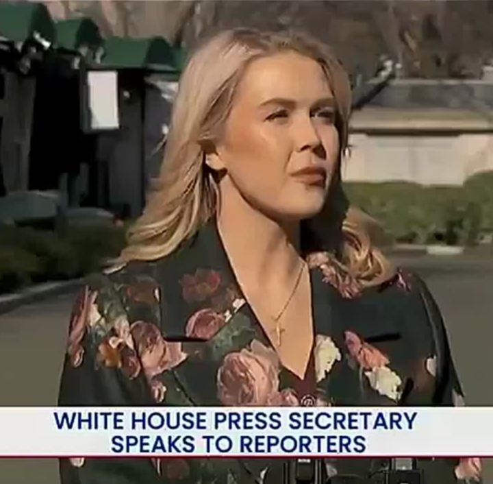 Красавушка и умница замечательная!!!