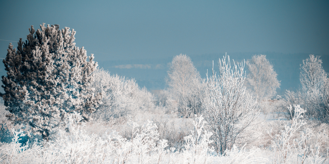 Краски нового зимнего дня