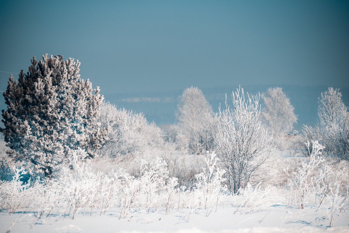 Краски нового зимнего дня.