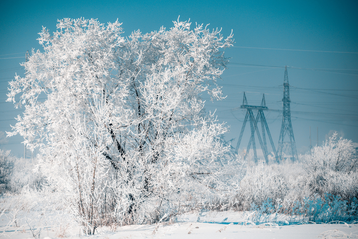 Краски нового зимнего дня.