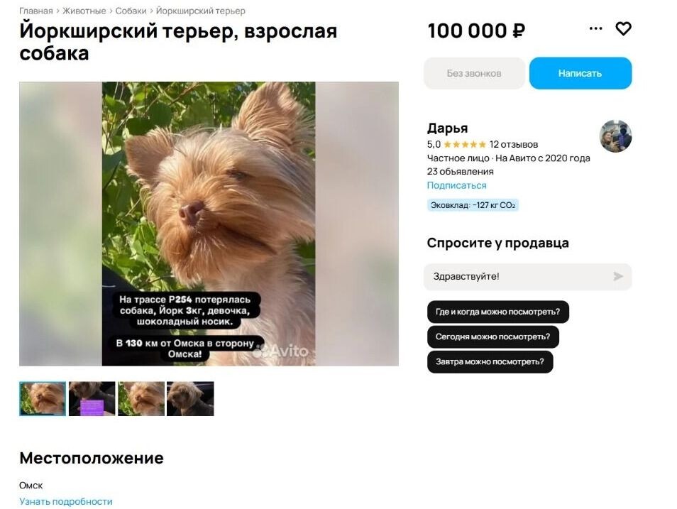    Встретить объявление о поисках собаки, замаскированное под «сделку», было неожиданно   Сервис онлайн-объявлений Avito / avito.ru