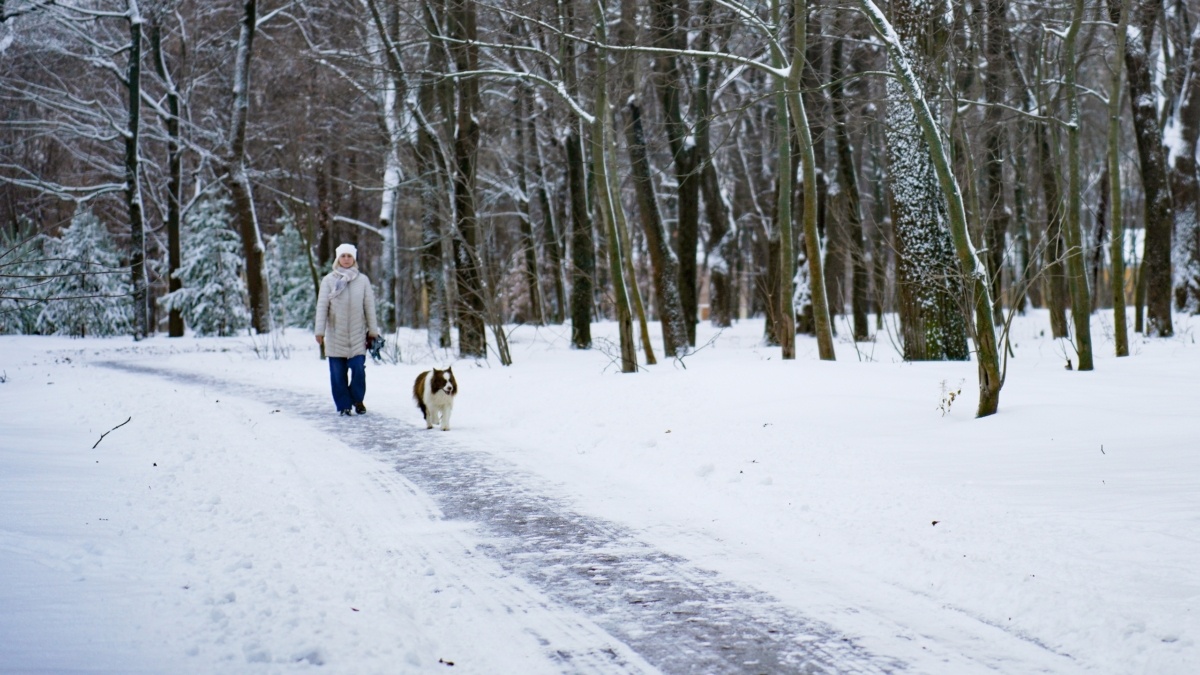 Светлана Мулыкина📷
