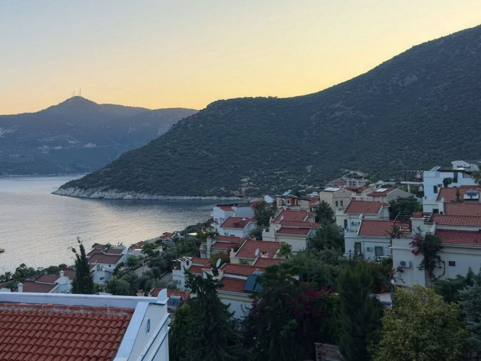 Лиза, автор отзыва
