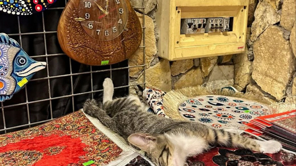 Недешевое удовольствие: от­зыв об от­ды­хе в Тур­ции без «все включено»