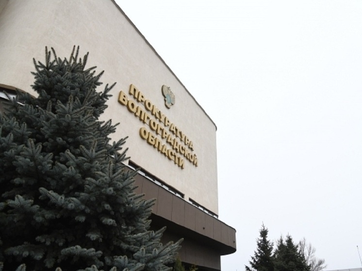     © Фото: ИД «Волгоградская правда» / архив