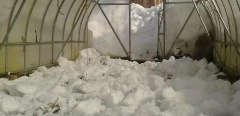 Яндекс. Картинки