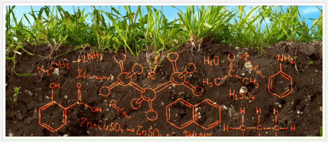 Яндекс. Картинки