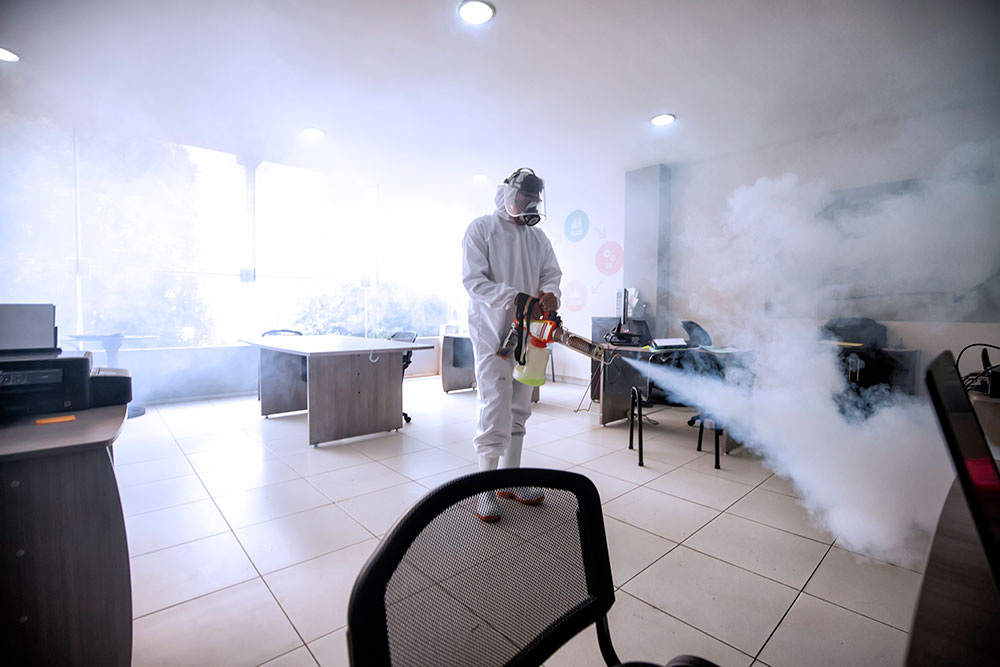 Уничтожение насекомых горячим туманом: эффективный способ защиты вашего дома