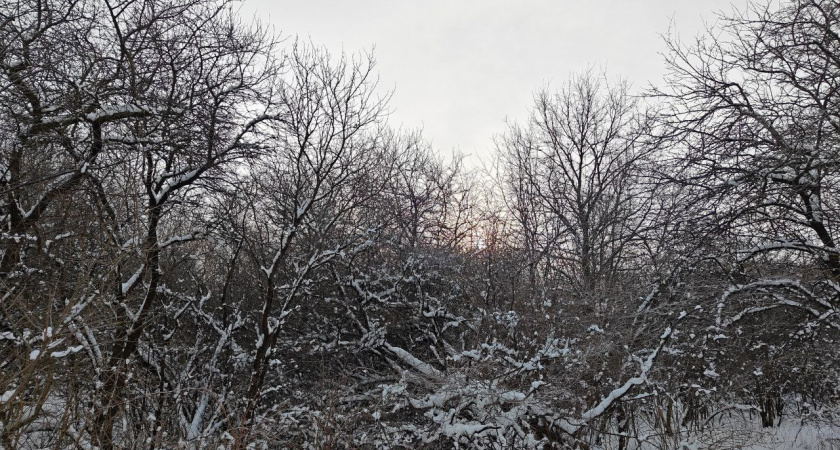    Первый городской канал Калининград