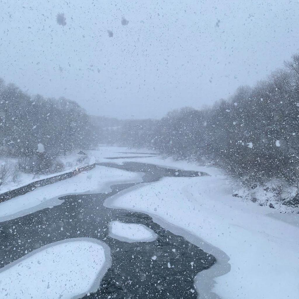    Картинка сгенерирована ИИ Elena Maltseva