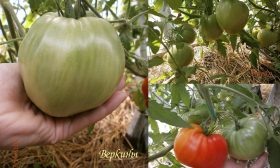 Листайте вправо, чтобы увидеть больше изображений