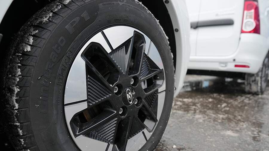    Фото: ИЗВЕСТИЯ/Дмитрий Коротаев