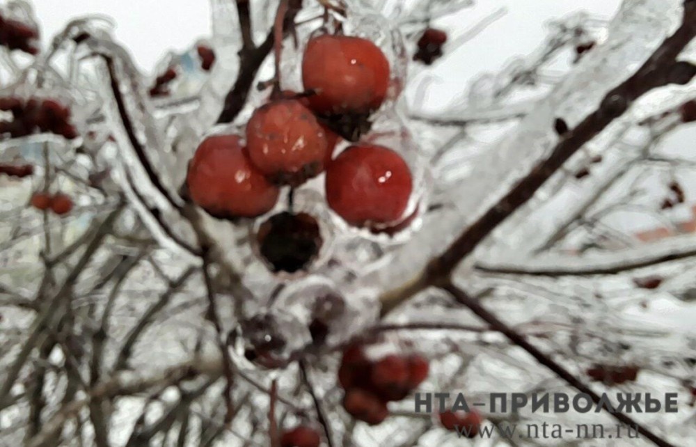    Народные приметы: 15 января