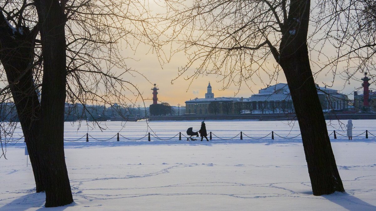    Фото: Zamir Usmanov/Global Look Press