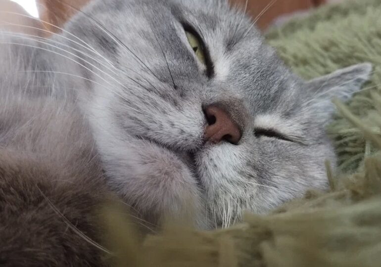 Фото: Самара-ГИС