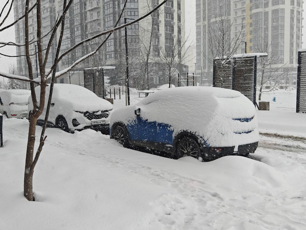    Фото: Юрий Серебренников/BFM Кубань