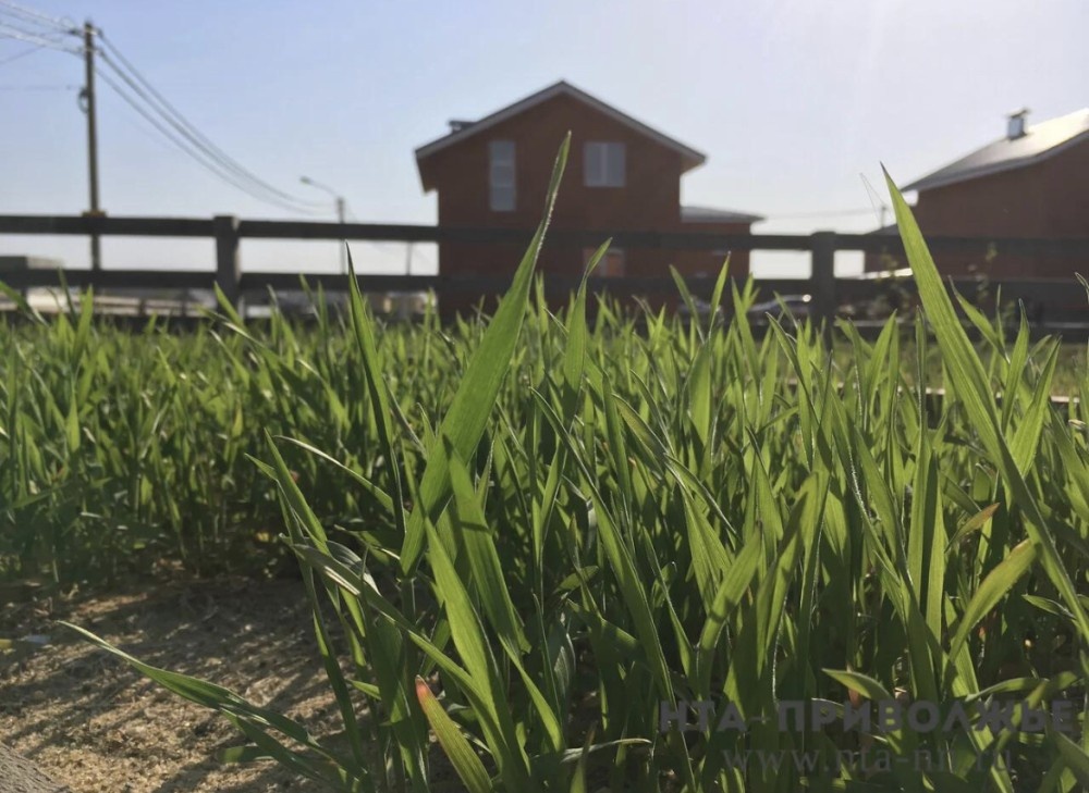   Штрафы за нарушение земельного законодательства могут увеличить в Башкирии