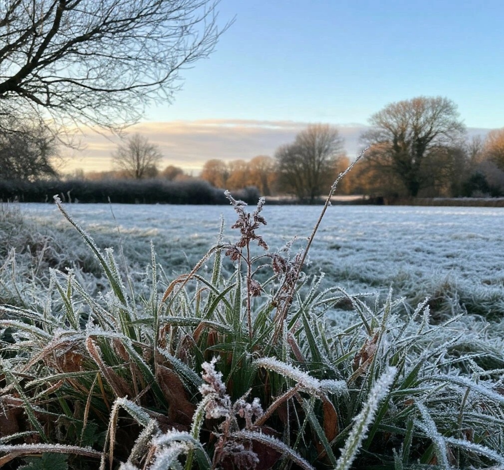 Спасибо за картинку из инета. 