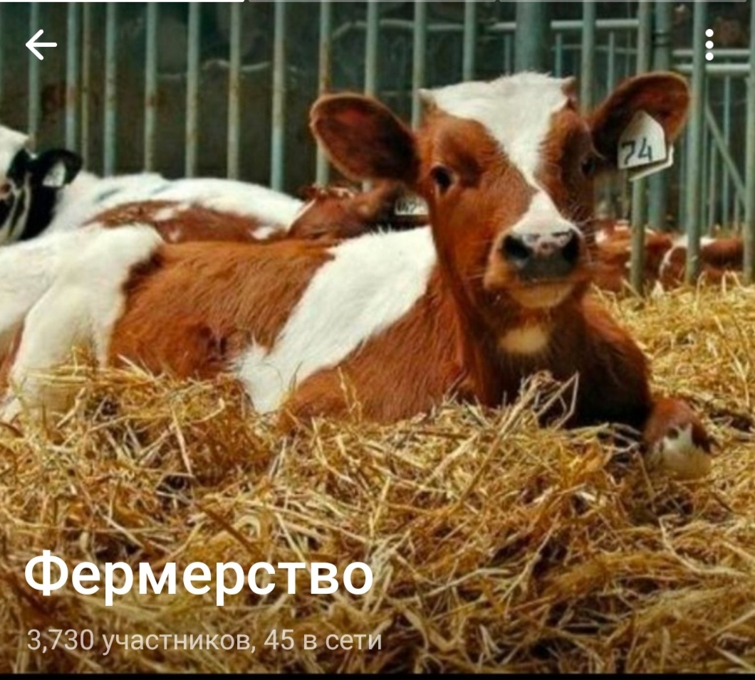 Большой Фермерский Круг России !