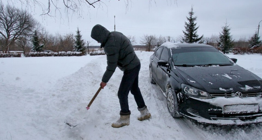    Фото: медиасток.рф