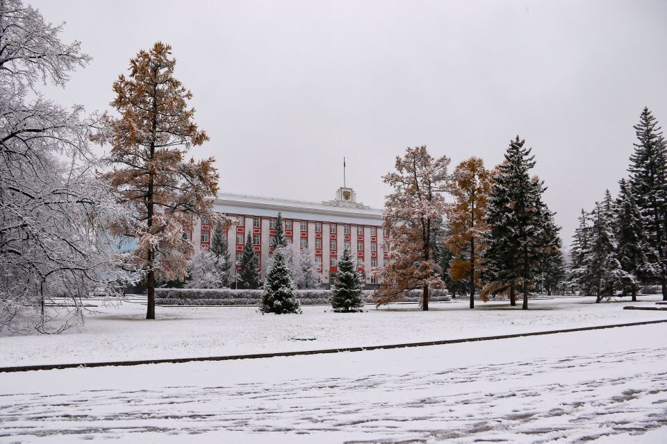    Правительство Алтайского края. Источник: Виталий Барабаш